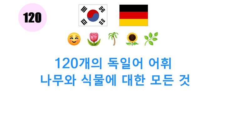120개의 독일어 어휘: 나무와 식물에 대한 모든 것